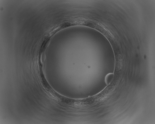 X0000051240641200506171111