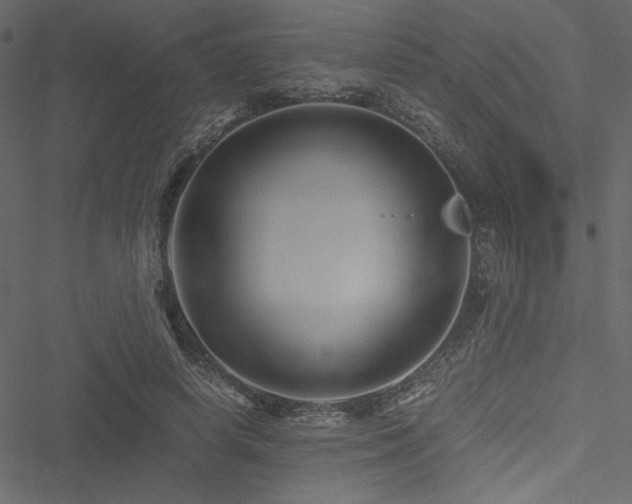 X0000051240642200506171111