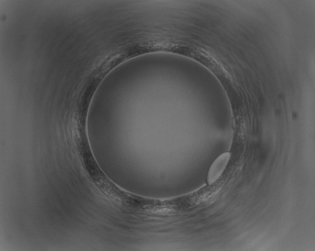 X0000051240643200506171111