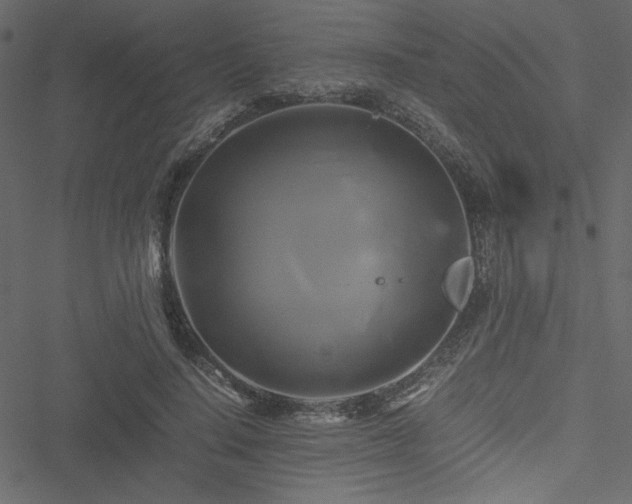 X0000051240644200506171111