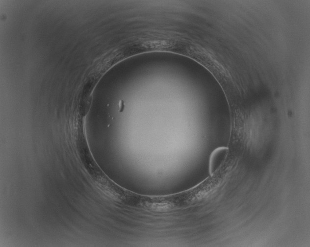 X0000051240645200506171111