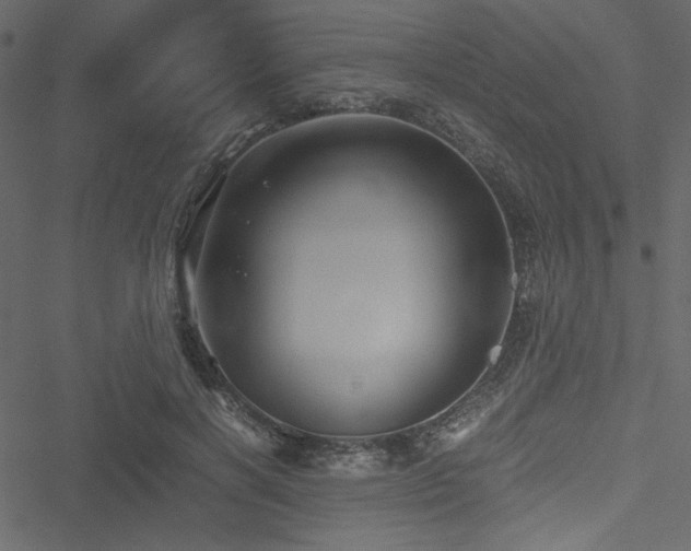 X0000051240646200506171111