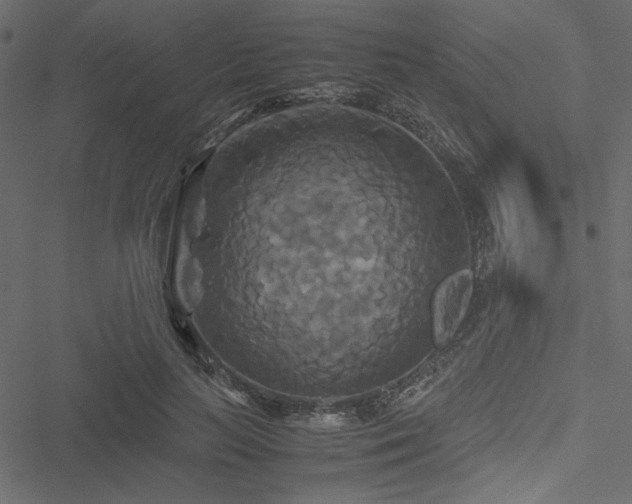 X0000051240647200506171111