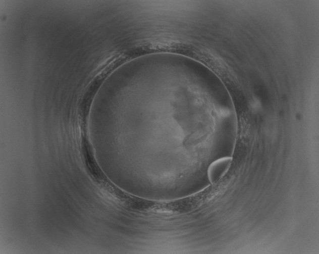 X0000051240648200506171111