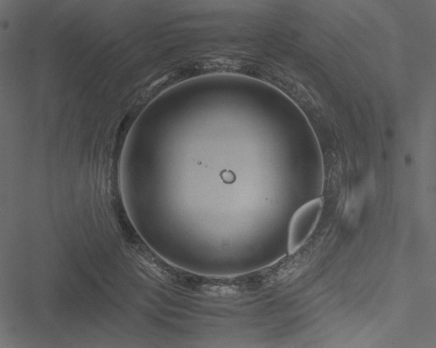 X0000051240649200506171111