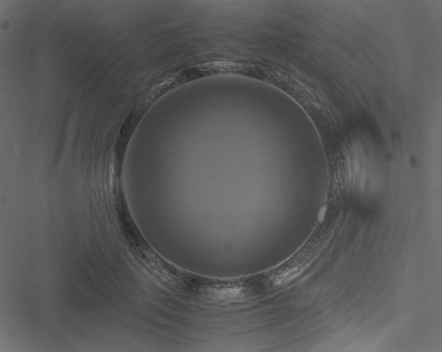 X0000051240651200506171111