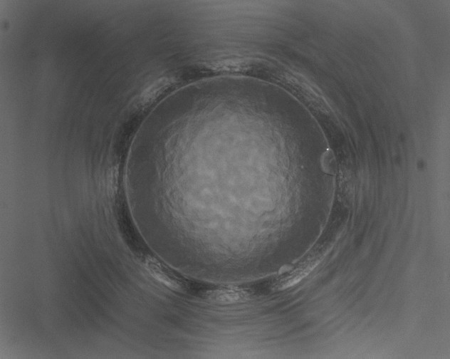 X0000051240652200506171111