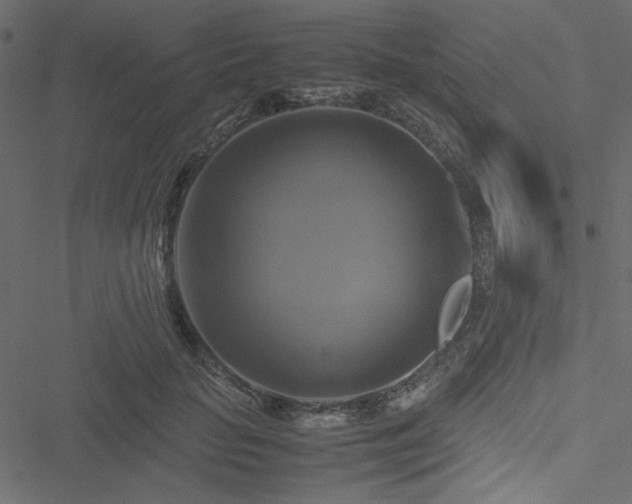 X0000051240653200506171111