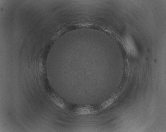 X0000051240655200506171111