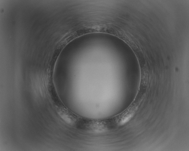 X0000051240656200506171111