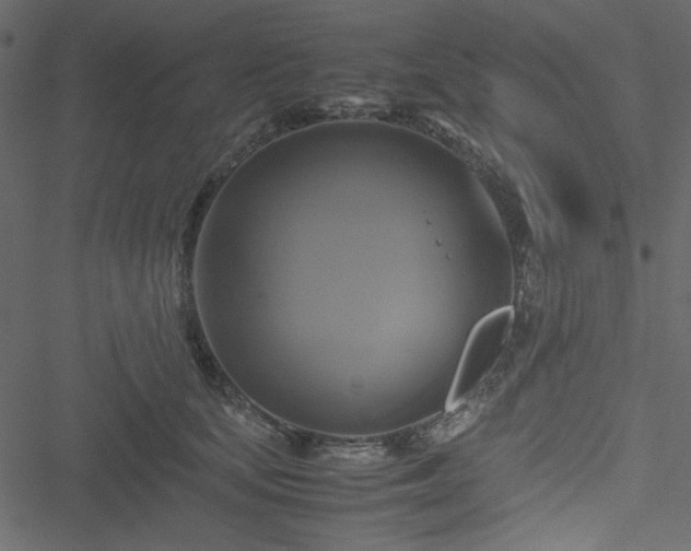 X0000051240659200506171111