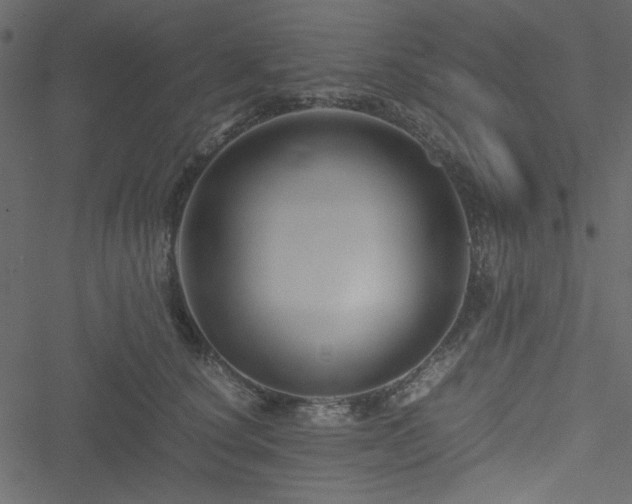 X0000051240660200506171111