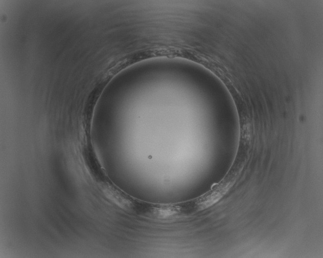 X0000051240662200506171111