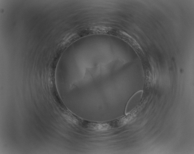 X0000051240663200506171111