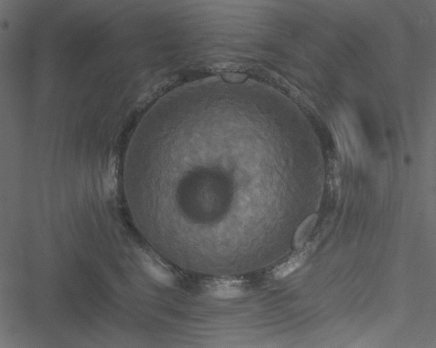 X0000051240664200506171111