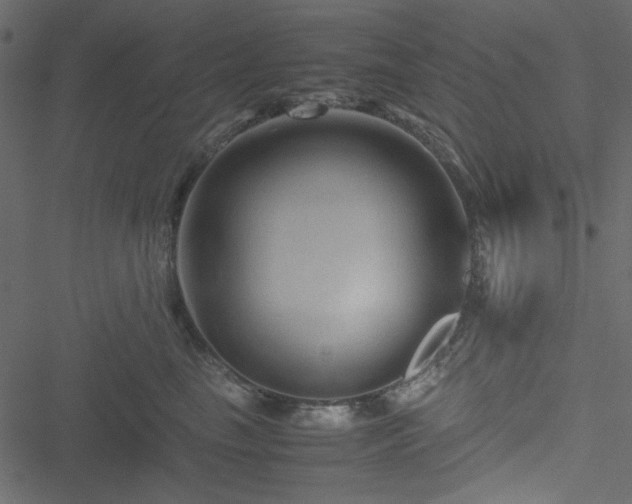 X0000051240665200506171111