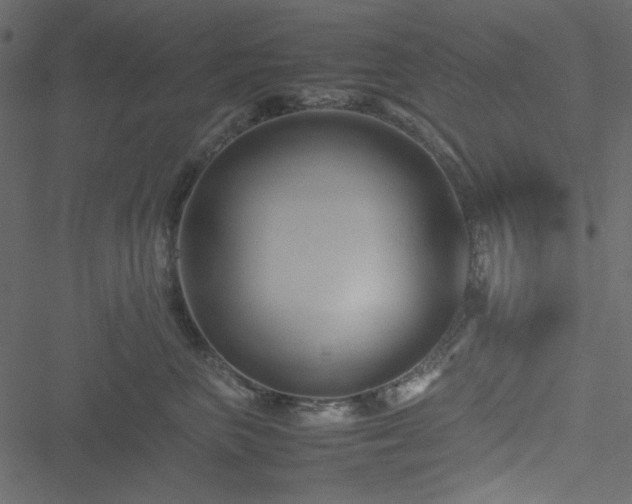 X0000051240667200506171112