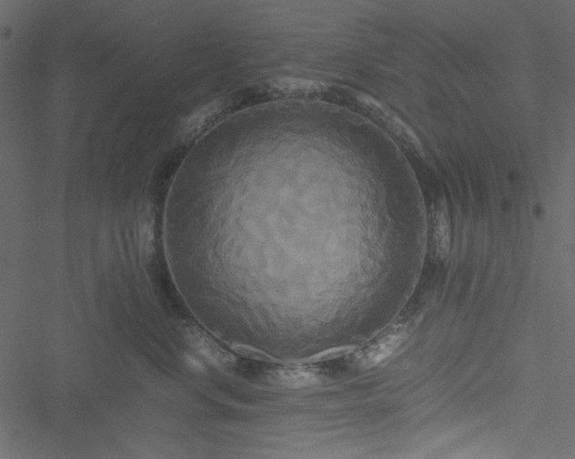 X0000051240668200506171112