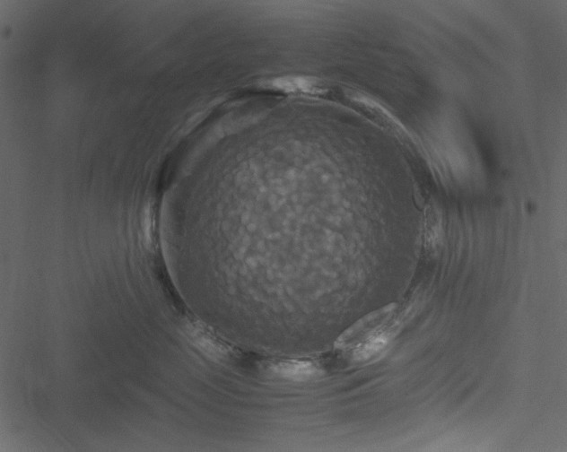 X0000051240669200506171112