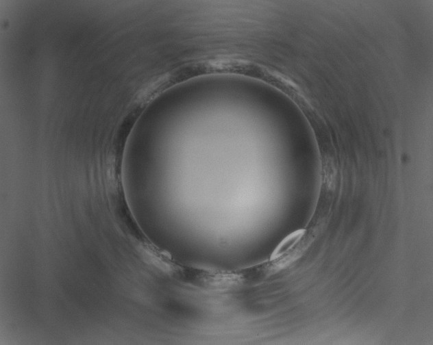 X0000051240670200506171112