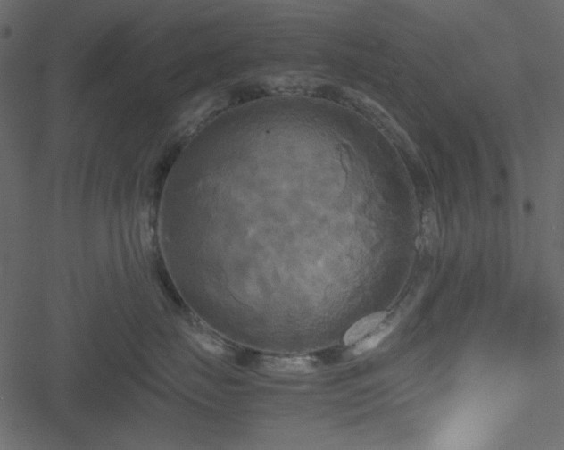 X0000051240671200506171112