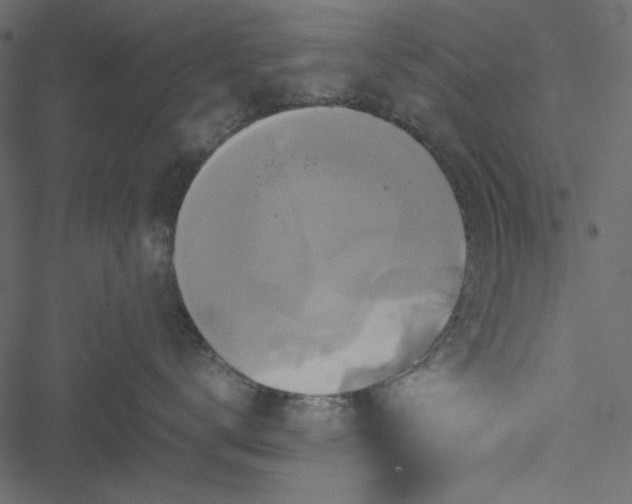 X0000051240672200506171112