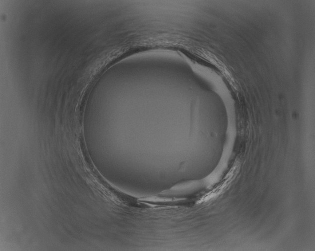 X0000051240673200506171111