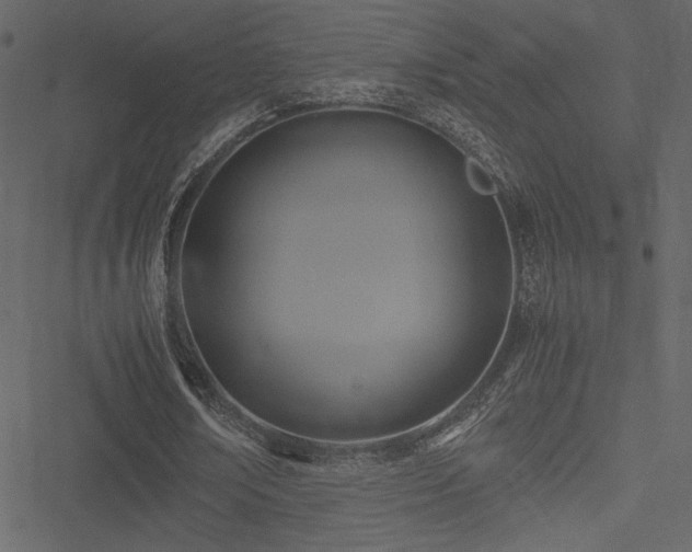 X0000051240674200506171111