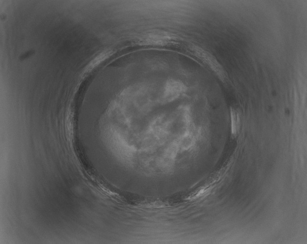 X0000051240675200506171111