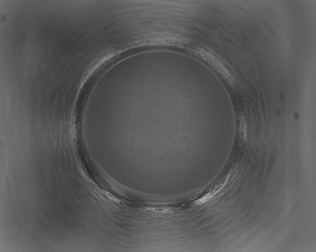 X0000051240676200506171111