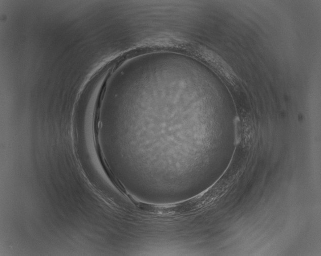 X0000051240680200506171111