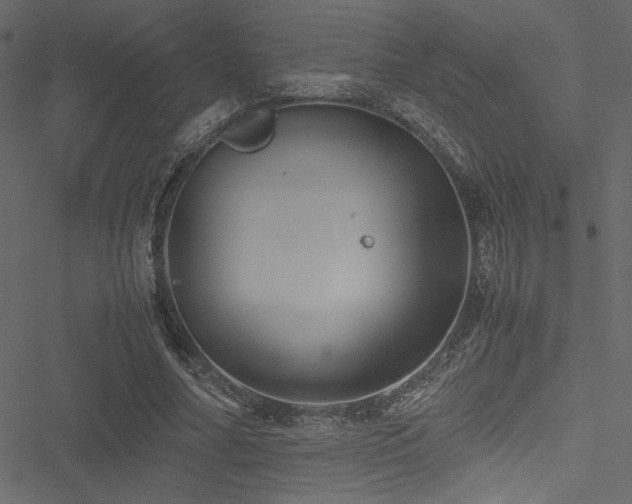 X0000051240682200506171111