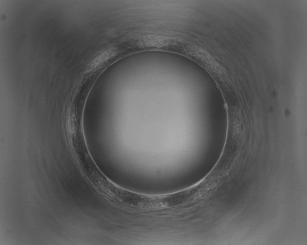 X0000051240683200506171111