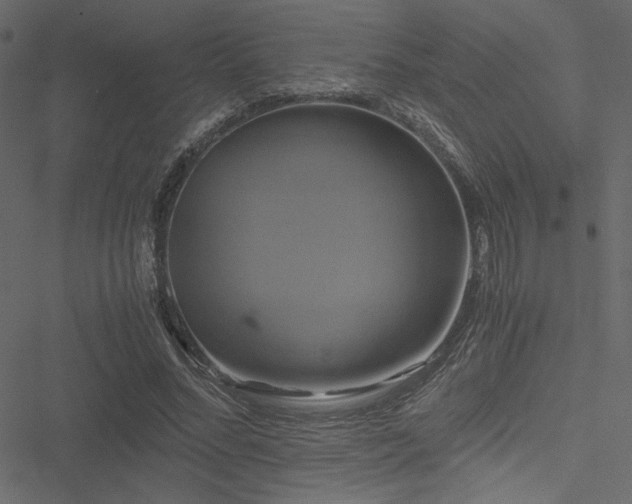 X0000051240684200506171111