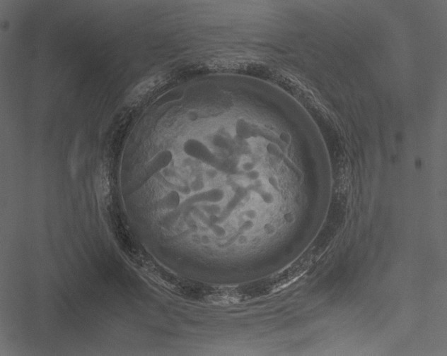 X0000051240687200506171111