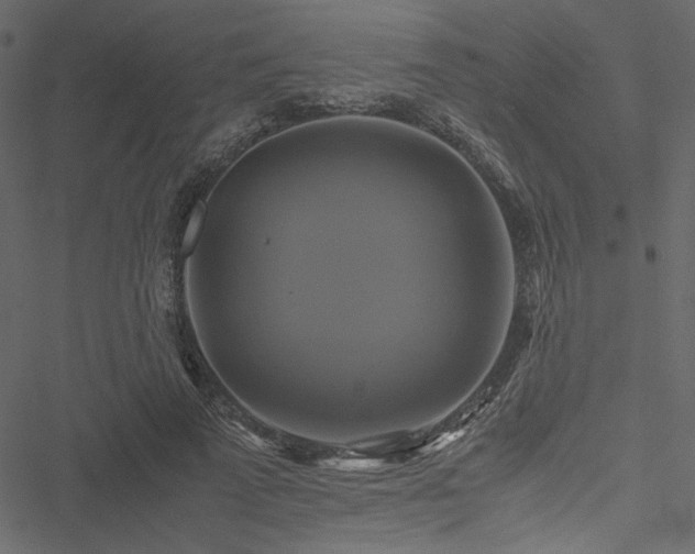 X0000051240689200506171111