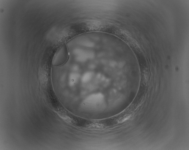 X0000051240691200506171110