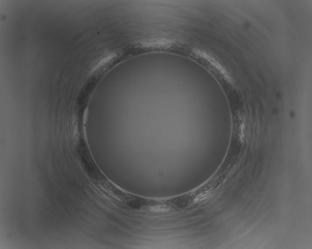 X0000051240692200506171110