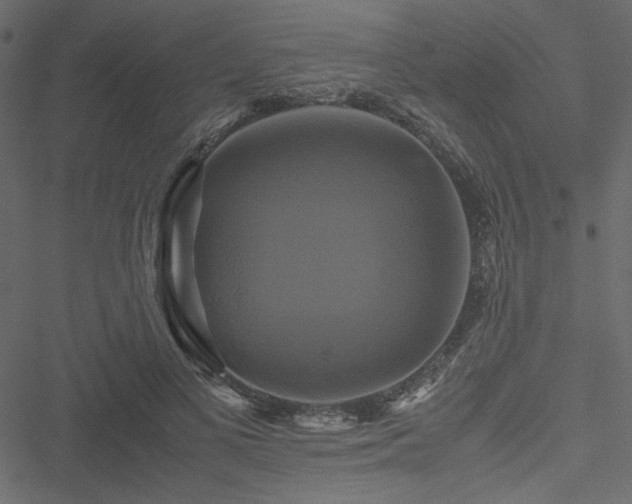 X0000051240693200506171110