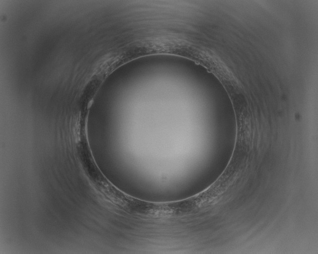 X0000051240694200506171110