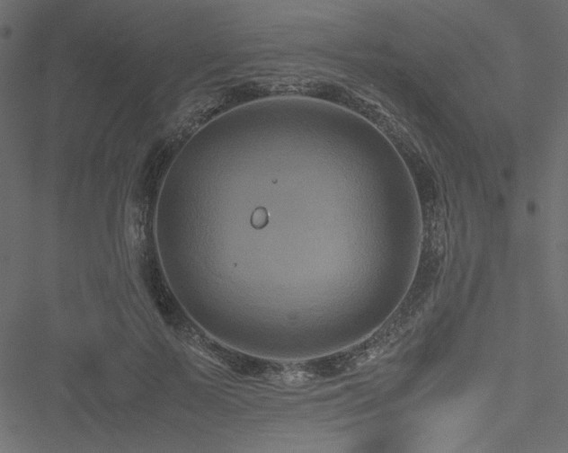 X0000051240695200506171110