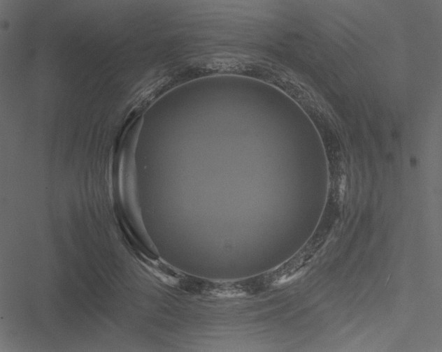 X0000051240696200506171110