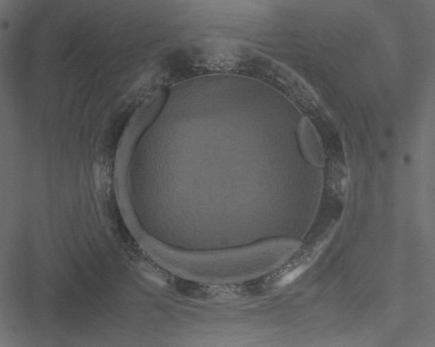 X0000051240697200506171110