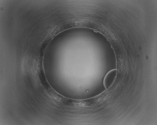 X0000051240698200506171110