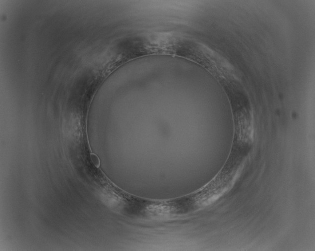 X0000051240699200506171110