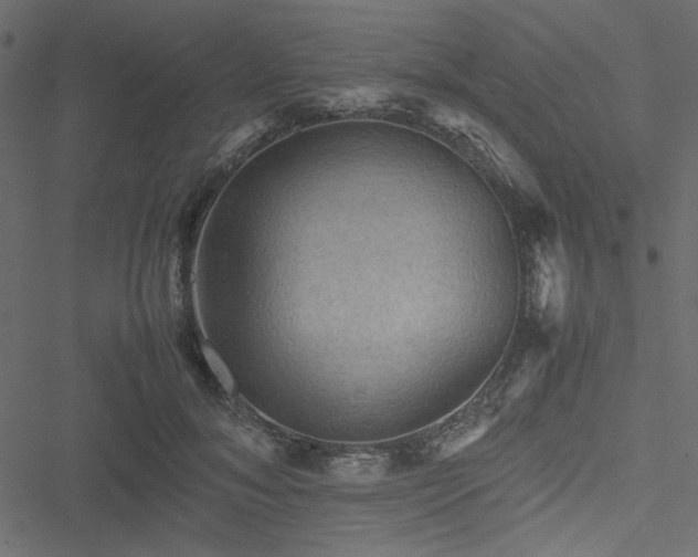 X0000051240700200506171110