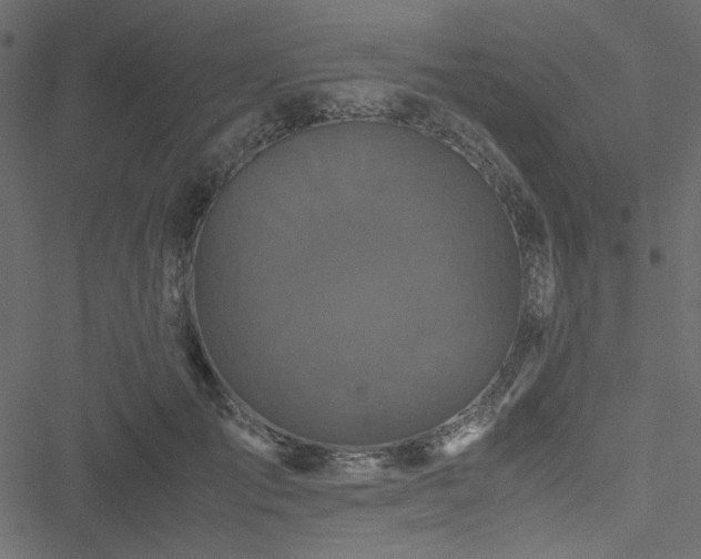 X0000051240701200506171110