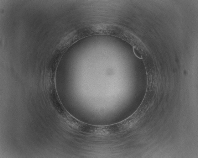 X0000051240702200506171110