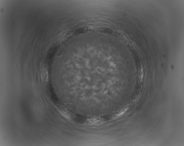 X0000051240703200506171110