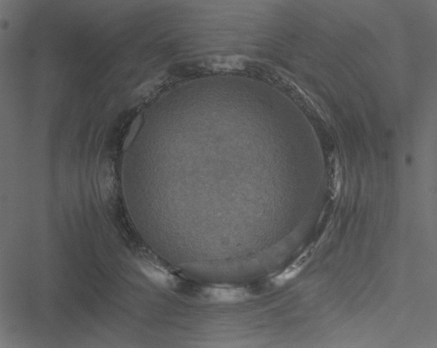 X0000051240704200506171110